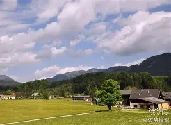 关于奥地利胜挪威：备受关注的实力对比的信息